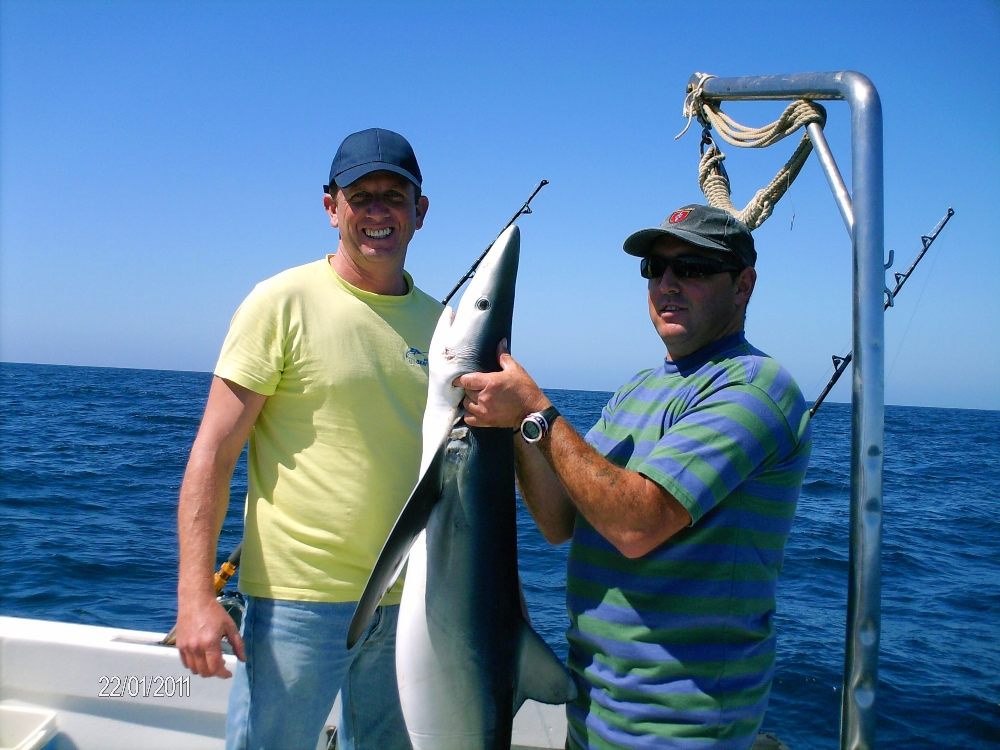 SHARK FISHING - Boat Fishing Algarve